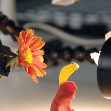 Photography Tutorial: How to Create Droplets With Glycerin