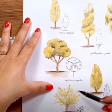 Botanical Illustration Tutorial: How To Draw A Tree