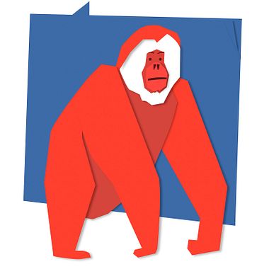 7 Ways to Simplify an Image in Visual Communication