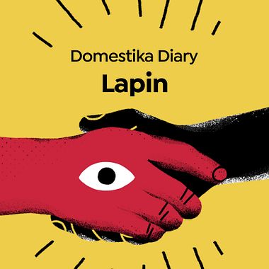 Domestika Diary: Lapin