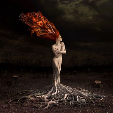 Be Inspired to Compose Artistic Photos