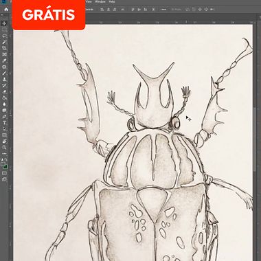 Download grátis: pincéis de efeito de grafite para Adobe Photoshop