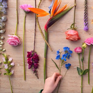 Descarga gratis una guía de teoría del color para composiciones florales