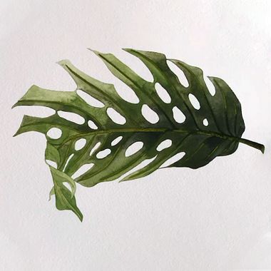 5 Watercolor Time-lapses That Will Inspire You to Paint