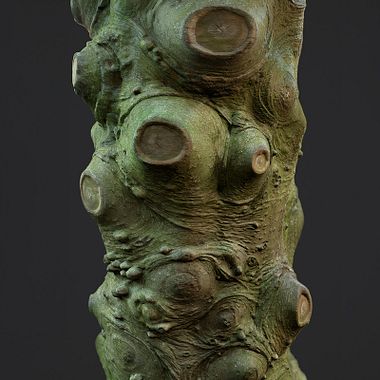 What Is Photogrammetry?
