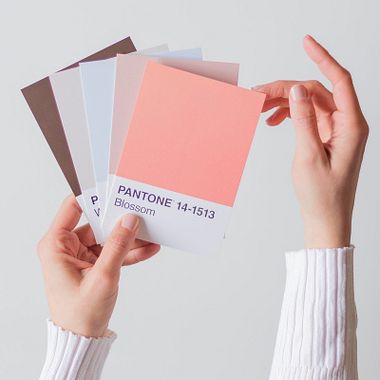 Por que é importante usar um guia Pantone?