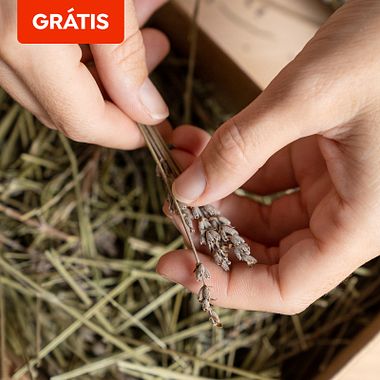 Download grátis: guia de boas práticas de design gráfico sustentável