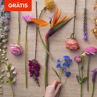 Download grátis: guia de teoria da cor para composições florais