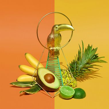 5 Online Courses to Learn How to Retouch Photos with Adobe Lightroom