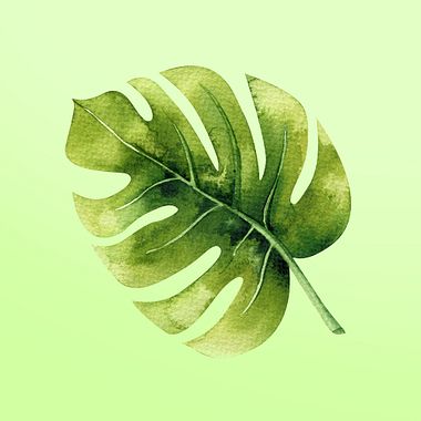 Watercolor Tutorial: Paint a Leaf, Step-by-Step