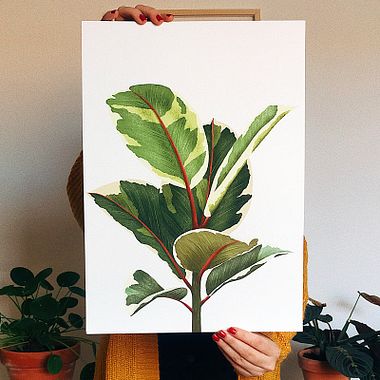 10 artistas e designers para inspirar suas aquarelas botânicas