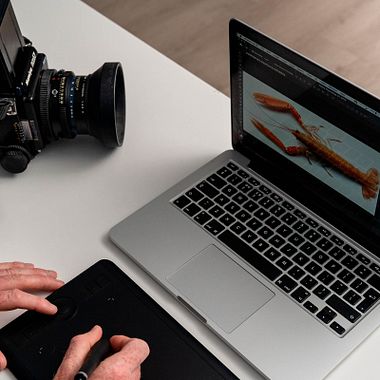 8 tutoriales gratis de edición fotográfica para profesionales (o no)