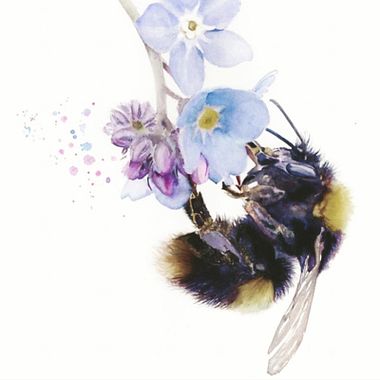O que é ilustração naturalista e como desenhar flora e fauna?