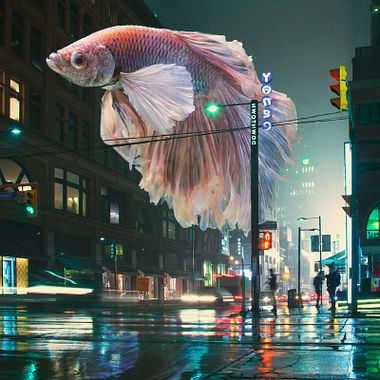 Fotomontagens em Photoshop: o mundo futurista de Diogo Sampaio