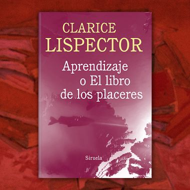 321 libros imprescindibles para amantes de la creatividad