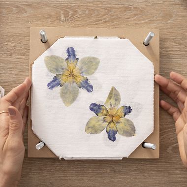 10 Online Courses For Getting Creative with Botany
