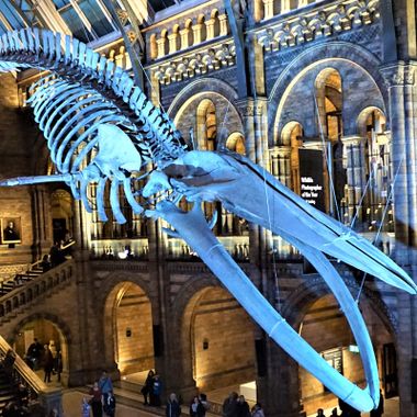 18 US and UK Museums You Can Visit Online in 2025