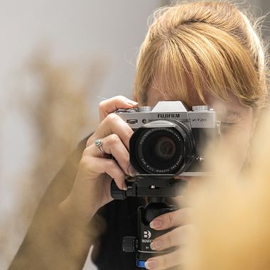 Free Guide: Basics of Composition in Photography