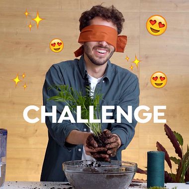 Challenge: ¿Se puede hacer una kokedama con los ojos cerrados? 