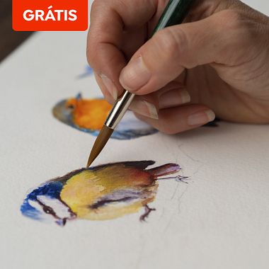 10 aulas online gratuitas de aquarela para despertar a criatividade