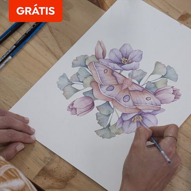 Download grátis: 8 templates básicos de desenho naturalista