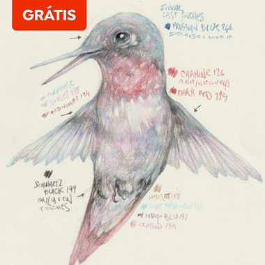 Download grátis: guia para desenhar um beija-flor