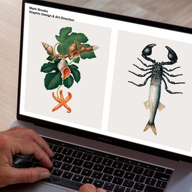 Tutorial Freelance: Consejos básicos para crear un porfolio digital