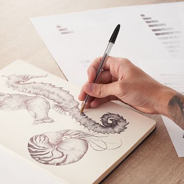  ﻿Descarga gratis ejercicios prácticos para dibujar con bolígrafo