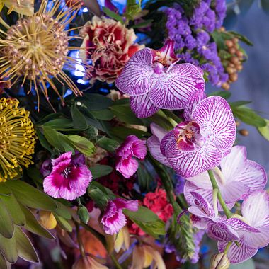 13 Floral and Plant Design Courses for Your Home Decor in 2025