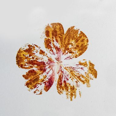 Descarga gratis una guía Gyotaku y de estampación vegetal