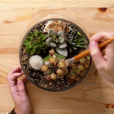 Materiales necesarios para crear tu primer terrario en casa