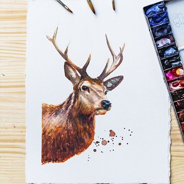 7 cursos online para aprender a desenhar animais do zero