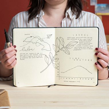 5 ejemplos de bullet journal inspiradores