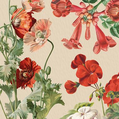 246 kostenlose Vintage-Illustrationspakete zum Herunterladen