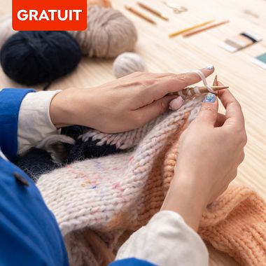 Patron gratuit pour tricoter votre propre pull-over Intarsia