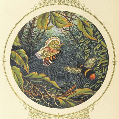 9 Webseiten mit Tausenden von kostenlosen Vintage-Bildern und Illustrationen
