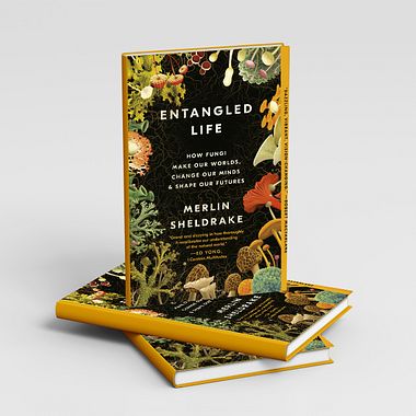 5 Top-Bücher über die Natur als Inspiration für deine kreativen Projekte
