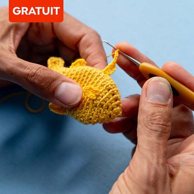 Téléchargez un patron de poisson au crochet gratuit 
