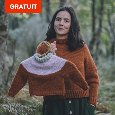 Gratuit : patron d'un pull-over à tricoter avec empiècement point fougère pour enfants et adultes