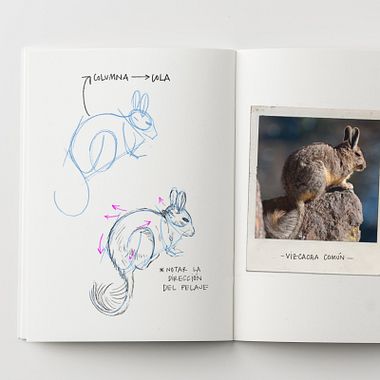 PDF Gratis: Descarga claves visuales para hacer dibujos de la naturaleza