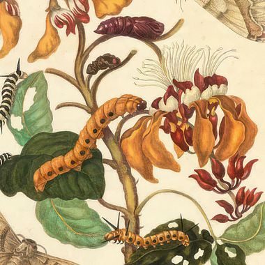 5 Scientific Illustration Books You Must Read