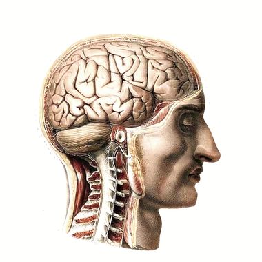 8 Inspiring Medical and Scientific Artists 