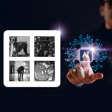 Descubre el Fascinante Mundo del Machine Learning con SVM