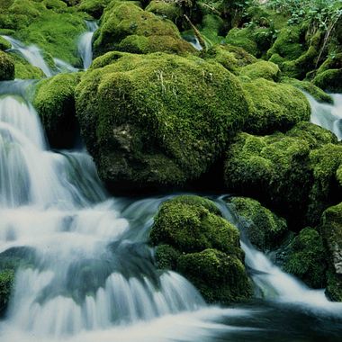 Tutorial de Fotografía: cómo congelar el movimiento