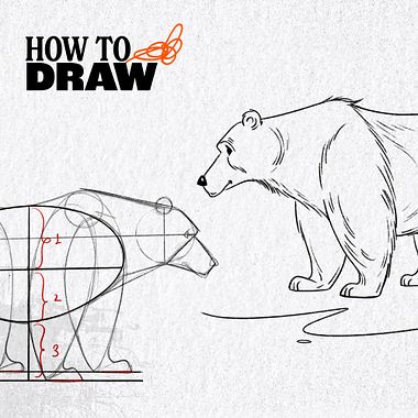 Free Download: How To Draw a Bear Tutorial
