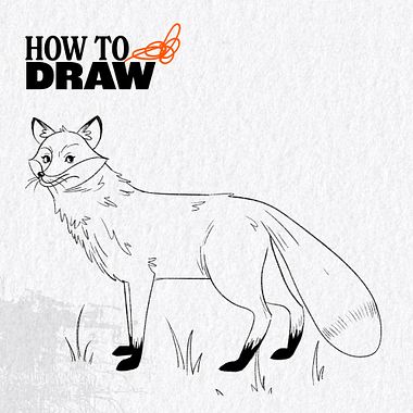 How to Draw a Fox Step by Step