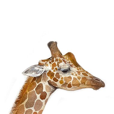 Discovering the Art of Watercolor with Ella Sienna: Painting Realistic Wildlife