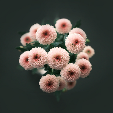 Connect with Nature and Discover the Beauty of Imperfection with Ikebana: The Japanese Art of Flower Arranging