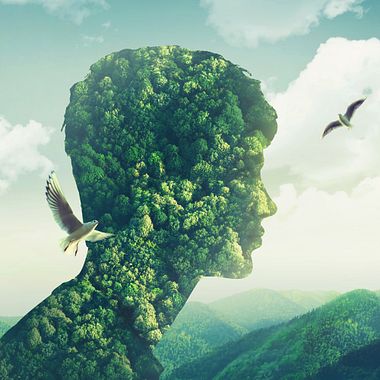 Discover 10 Types of Logical and Argumentative Fallacies