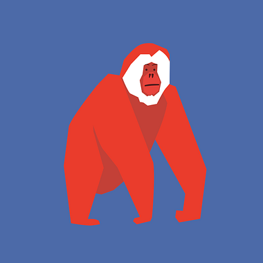 Illustrator tutorial: how to create a final artwork step-by-step